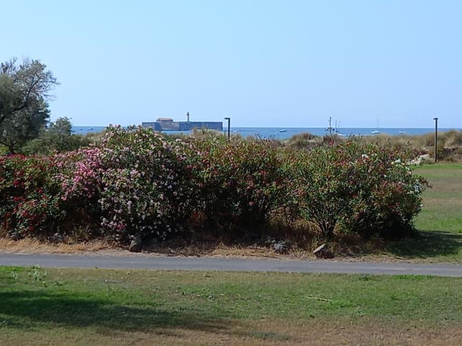 Amouvera C14, T2 Vue Mer, Piscine, Clim, Parking Agde Exteriör bild